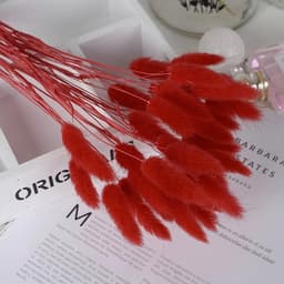 Gedroogd pampasgras, konijnenstaart, gras, 60 stuks, natuurlijke droogbloemen, boeket, decoratie, kunst, groot, droogbloemen, pampasgras voor interieur, fotografie, bruiloft, rood — thumbnail 5