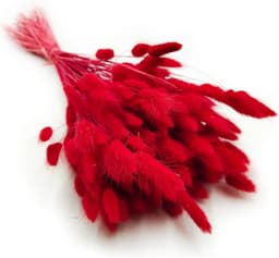 Gedroogd pampasgras, konijnenstaart, gras, 60 stuks, natuurlijke droogbloemen, boeket, decoratie, kunst, groot, droogbloemen, pampasgras voor interieur, fotografie, bruiloft, rood — thumbnail 3