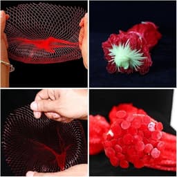 Fruit Netten - Groente Netten - Fruit Opslag - Herbruikbaar Nylon - 50 cm - Rood — thumbnail 5