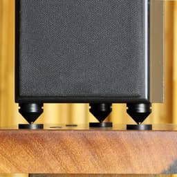 Luidspreker Voetjes - Demper Pinnen - Audio Verbetering - Trillingsonderdrukking - 2.2 x 2 cm - Zwart — thumbnail 2