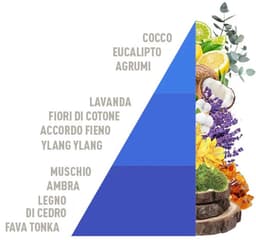 Horomia Wasparfum Cotone E Fiordaliso 250ml — thumbnail 2