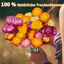 Gedroogde bloemen, 20 stuks veelkleurige gedroogde madeliefjes met stengels voor bruiloft, thuis en op kantoor, feestdecoratie — thumbnail 4