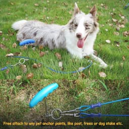 20ft Zware Hond Stropdas Kabel met Grondstaak - Ideaal voor Buiten Gebruik — thumbnail 4
