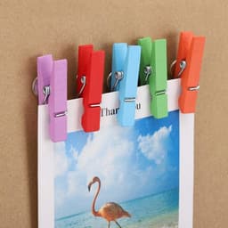 Kleurige Houten Push Pins Clips voor DIY en Creatieve Decoratie — thumbnail 5