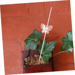 1set Transparante Plantsteunen Acrylaat Plant Steunen Voor Stengels Ondersteuning Voor Klimplanten Groei Voor Tuin Binnengebruik — thumbnail 5