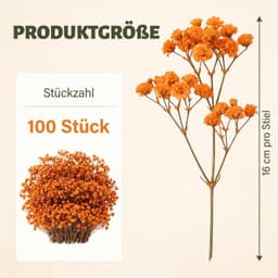 Gedroogde oranje gypsophila, voor woon- en trouwdecoratie — thumbnail 3
