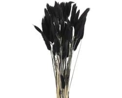 60 stuks konijnenstaarten, natuurlijke gedroogde bloemen, 43,2 cm, mini-hazenstaart, lagurus ovatus, bloemenboeket voor bloemendecoratie, bruiloft, Kerstmis, zwart