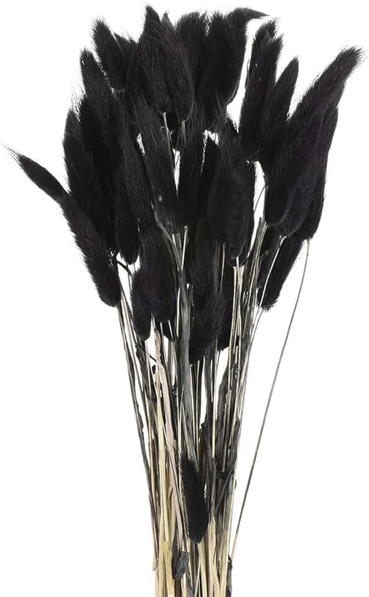 60 stuks konijnenstaarten, natuurlijke gedroogde bloemen, 43,2 cm, mini-hazenstaart, lagurus ovatus, bloemenboeket voor bloemendecoratie, bruiloft, Kerstmis, zwart — afbeelding 1