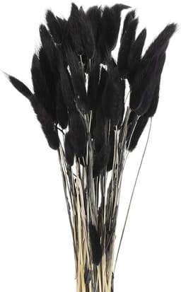 60 stuks konijnenstaarten, natuurlijke gedroogde bloemen, 43,2 cm, mini-hazenstaart, lagurus ovatus, bloemenboeket voor bloemendecoratie, bruiloft, Kerstmis, zwart — thumbnail 1