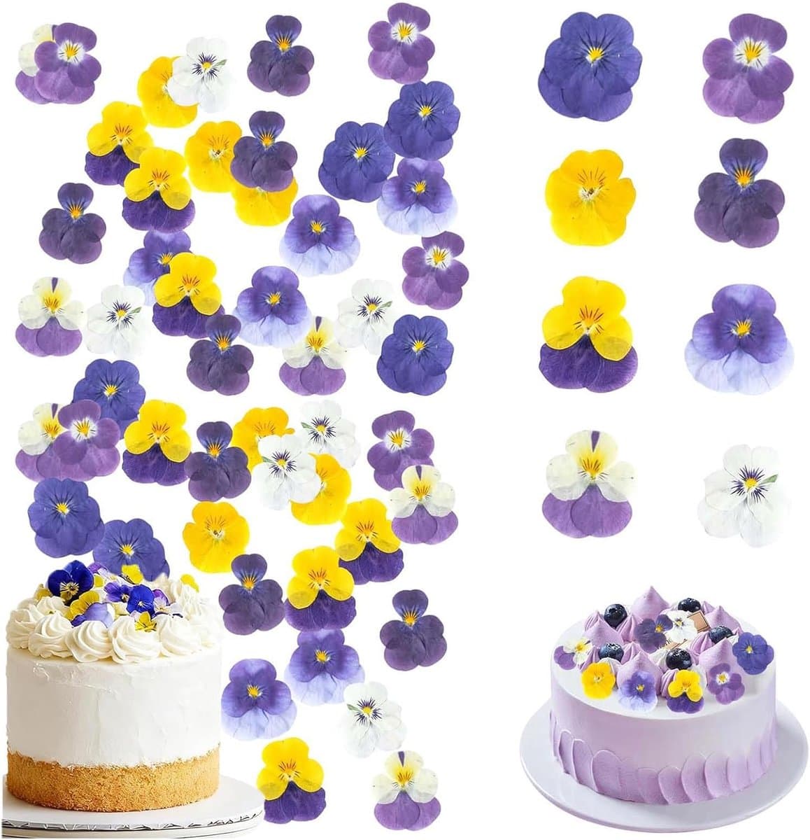 8 soorten natuurlijk gedroogd, 40 stuks geperste bloemen, veelkleurige mix altviool driekleur voor taarttopper, decoratie van cocktailhars, sieraden maken, doe-het-zelf kunstambachten — afbeelding 1