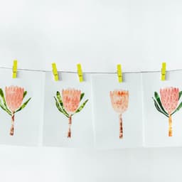 Houten Foto Clips - Mini Wasknijpers Papier Peg Pins - Foto's Ophangen - Natuurlijk Hout — thumbnail 2