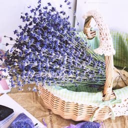 Gedroogde lavendelboeketten, 43 cm, natuurlijke gedroogde lavendelbloemen, voor thuis, woonkamer, bruiloftsfotografie, knutselen — thumbnail 5