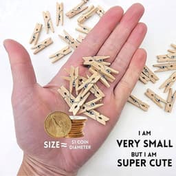Wasknijpers Houten 100 Stuks - Kleine Wasknijpers - Mini-Klemmen - Sierklemmen - Voor Fotowand - Gastgeschenk — thumbnail 3
