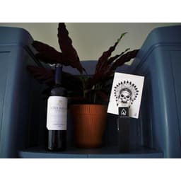 HouseVitamin houten knijper | Wasknijper groot | Zwart | 3 x 4 x 15 cm — thumbnail 4