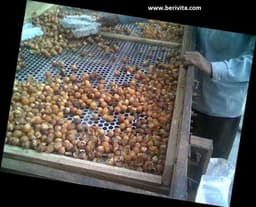Wasnoten 3kg met 4 Waszakjes - Zeepnoten - Natuurlijk Wassen - 4x750gr — thumbnail 5