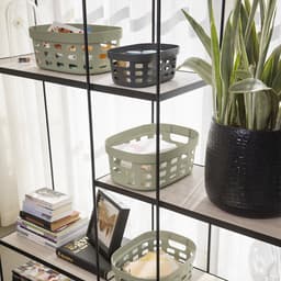Sunware - Sigma home mand 5L groen — thumbnail 3
