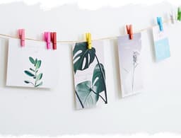 50 Houten Wasknijpers Mini Inclusief 10m Jute Touw - Decoratieve Houten Klemmetjes voor Foto's en Knutselprojecten — thumbnail 5