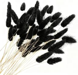 Gedroogde Konijnenstaartbloemen, Pampasgras Boho Boeket, Droogbloemen voor Vaas, Huis-, Slaapkamer- en Woonkamerdecoratie (Zwart) — thumbnail 1