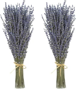 Gedroogde bloemen, nooit verdord decoratief bloemenboeket voor bloemstuk, bruiloft, thuis, kantoor, lavendelbundels — thumbnail 1