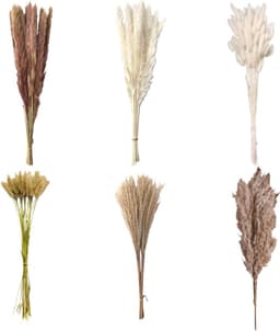 120 stuks decoratie van gedroogd pampasgras, gedroogd pampasgras — thumbnail 1