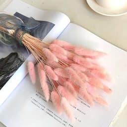 Pampasgras, decoratie, 50 stuks, herbruikbaar, roze + wit, doe-het-zelf droogbloemen, gedroogd, voor woonkamer, bruiloft, tafel, bloemen, arrangementen thuis, decoratie, geen vaas — thumbnail 4