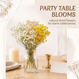 Gedroogde sluierkruid, gedroogde bloemen met geel-witte bloemen, 15 cm lang, voor doe-het-zelf knutselen, kaarsenmaken, harskunst en natuurlijke decoraties — thumbnail 2