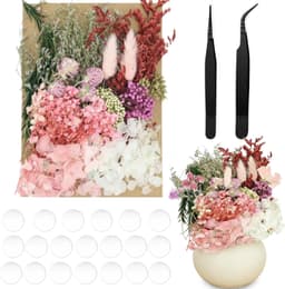 Gedroogde bloemen decoratieset, natuurlijk boeket droogbloemen, decoratie om te knutselen, met 2 clips en 20 rond dubbelzijdig plakband, 15 mm, voor woonkamer, huishouden, tafeldecoratie (kleur 1) — thumbnail 1