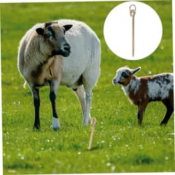 Grondanker Hond - Hondenpen Tuinpaal - Buiten Beveiligen - Stevig IJzeren Ontwerp - 42 cm - Goud — thumbnail 5