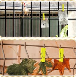 Houten Foto Clips - Mini Wasknijpers Papier Peg Pins - Foto's Ophangen - Natuurlijk Hout — thumbnail 4