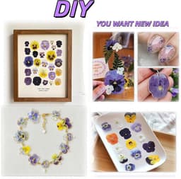 8 soorten natuurlijk gedroogd, 40 stuks geperste bloemen, veelkleurige mix altviool driekleur voor taarttopper, decoratie van cocktailhars, sieraden maken, doe-het-zelf kunstambachten — thumbnail 4