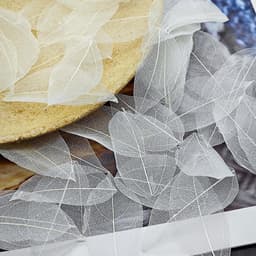 50 stuks natuurlijke skeletbladeren, gedroogde bladeren, echte natuurlijke gedroogde bladeren, gemengde bladeren, voor het maken van kunstkaarten, herinneringsboek (wit) — thumbnail 5