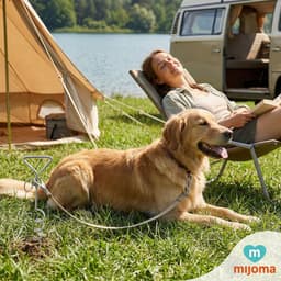 Dailygoods- Grondanker Spiraalvormig - Verankeringsspiraal voor Honden - Ideaal voor Buiten - Camping/Tuin - Veilig en Stevig - Hondenspiraal — thumbnail 5