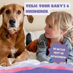 YOKUU Probiotische Wasstrips - 128 Wasbeurten - Lavendel Geur - Reis Wasmiddel - Ultra Geconcentreerd en Voorgedoseerd - Ecologisch Wasproduct — thumbnail 2