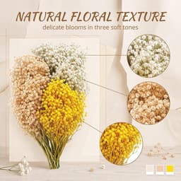 Gedroogde sluierkruid, gedroogde bloemen met geel-witte bloemen, 15 cm lang, voor doe-het-zelf knutselen, kaarsenmaken, harskunst en natuurlijke decoraties — thumbnail 4