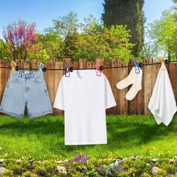 Waslijn uittrekbaar - Zwart - 180-300 cm - Draagbare outdoor waslijn met klemmen - Voor reizen en camping — thumbnail 4