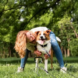 Cosensi - Grondankers voor honden met sleeplijn van 3 meter - Robuuste set voor trampoline - Roestvrije zekeringsset voor grote honden. — thumbnail 2