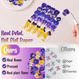 8 soorten natuurlijk gedroogd, 40 stuks geperste bloemen, veelkleurige mix altviool driekleur voor taarttopper, decoratie van cocktailhars, sieraden maken, doe-het-zelf kunstambachten — thumbnail 2