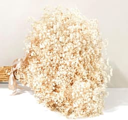 Droogbloemen Gypsophila Paniculata 43 cm, 7000 + ivoorwitte bloemen, natuurlijke gypsophila-takken voor doe-het-zelf krans, thuis, bruiloft, tafel, vazendecoratie — thumbnail 1