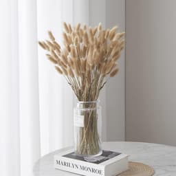 Pampas, 60 Stuks Natuurlijke Droogbloemen, Pampasgras, Konijnenstaart, Boho-Decoratie, Super Pluizig voor Thuis, Bruiloftsdecoratie (Natuurlijke Kleur) — thumbnail 1