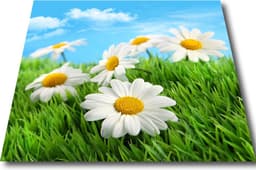 Papillon Wasmachine Beschermer - Antislip mat - 60x60 - Margrieten — thumbnail 1