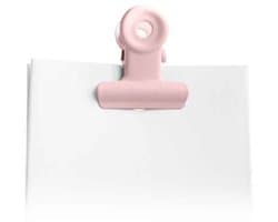 Kleine metalen clipjes - 12 stuks - Roze - Doopsuiker - Huwelijk - Retro - Klassiek - Vintage - Bedankingen - Metaal - 22 mm - DIY - Afwerking - Decoratie - Geschenkverpakkingen