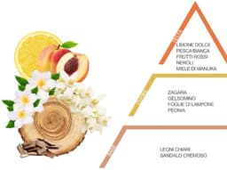 Wasparfum Nuvole 500ml – Ventilii Milano® — thumbnail 2