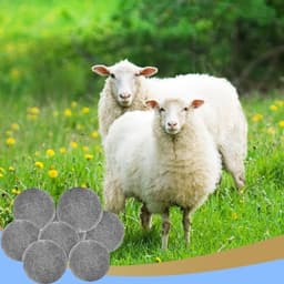 Store_8 - Drogerballen - Vilten ballen - Herbruikbaar - Wit — thumbnail 2