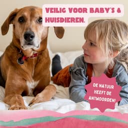 YOKUU Probiotische Wasstrips - 64 Wasbeurten - Zomerbloemen Geur - Reis Wasmiddel - Ultra Geconcentreerd en Voorgedoseerd - Ecologisch Wasproduct — thumbnail 3
