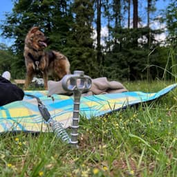 Schroefharing PetPeg met hoogteverstelling en lijnbevestiging voor dieren — thumbnail 2
