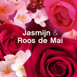 Lenor Passion - Wasverzachter - Jasmijn en Roos - 40 Wasbeurten — thumbnail 3