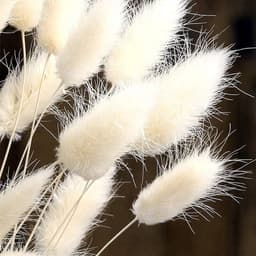 Gedroogd pampasgras, konijnenstaart, gras, 30 stuks, natuurlijke droogbloemen, boeket, decoratie, kunst, groot, droogbloemen, pampasgras voor interieur, fotografie, bruiloft, wit — thumbnail 4