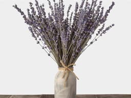 Gedroogde bloemen, nooit verdord decoratief bloemenboeket voor bloemstuk, bruiloft, thuis, kantoor, lavendelbundels — thumbnail 3
