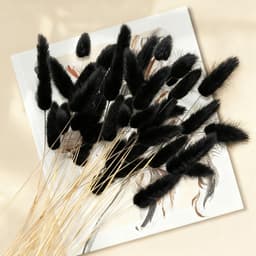 Gedroogde Konijnenstaartbloemen, Pampasgras Boho Boeket, Droogbloemen voor Vaas, Huis-, Slaapkamer- en Woonkamerdecoratie (Zwart) — thumbnail 5