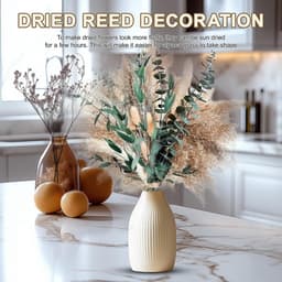 Gedroogde natuurlijke bloemen, decoratief pampasgras, compleet met gedroogde bloemen, decoratie in boho-stijl, voor huis, tuin, feest, kantoor om te knutselen — thumbnail 5
